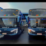 PO Pandawa 87 Luncurkan 2 Bus Buatan New Armada