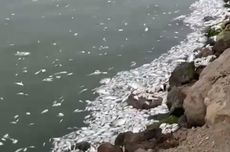 Wasekjen Demokrat Minta Tunda Pembahasan Kepala Daerah Dipilih DPRD