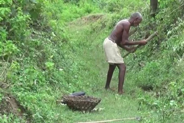 Laungi Bhuiyan, seorang pria di Bihar, India, yang menjadi viral karena selama 30 tahun, dia membangun parit agar desanya tak kekeringan.