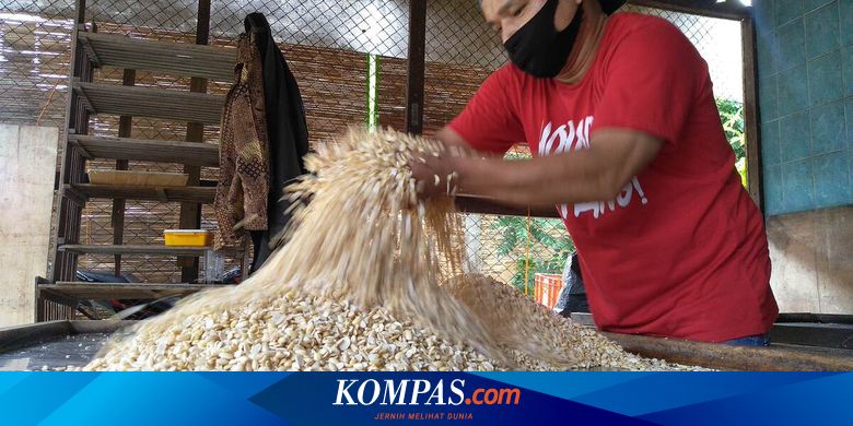 Di Balik Melambungnya Harga Kedelai Impor 2021...