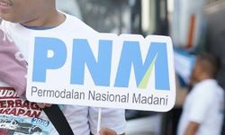 Tak Perlu Tarik PNM ke Kemenkeu, Pemerintah Diminta Fokus Benahi Ekosistem Pembiayaan UMKM