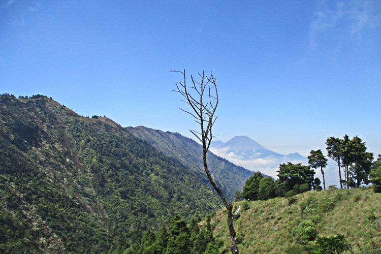 Pemandangan barisan pegunungan terlihat. Di kejauhan Sindoro-Sumbing juga terlihat jauh mengintip    