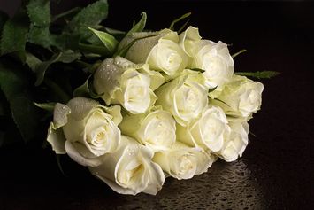 Arti Bunga Mawar Putih yang Jarang Diketahui, Simbol Cinta Kasih dan Perdamaian