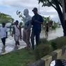 Kesaksian Warga Fakfak Saat Banjir Rob Menerjang, Orang Panik Berlari, Teriak, dan Menangis 