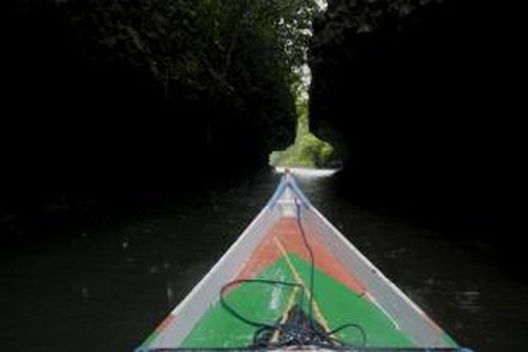 Perahu katingting melewati sisi bawah batu kapur di Sungai Pute sebelum berlabuh di Dermaga Kampung Berua, Kamis (12/02/2015). Di sepanjang Sungai Pute, vegetasi didominasi oleh pohon nipah dan bakau.