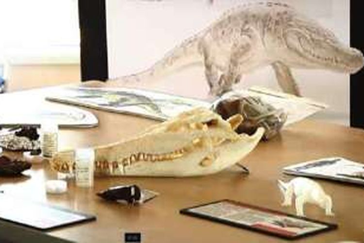 Fosil yang sudah ditemukan dibersihkan dan dibuat model 3D untuk membantu riset palaentolog. 
