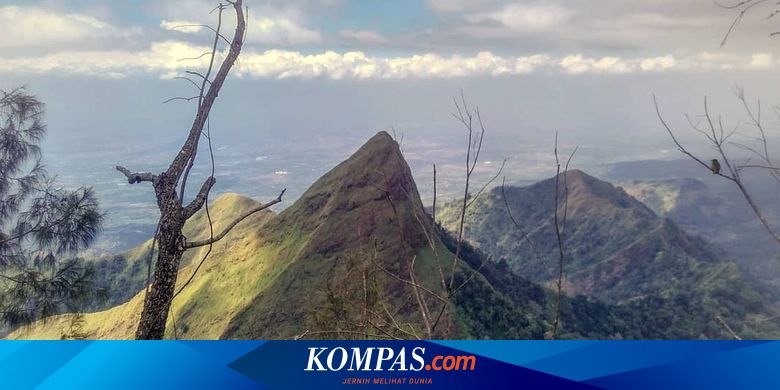 Pulang Berfoto di Gunung Piramid, Seorang Pelajar SMAN Terjatuh ke Tebing