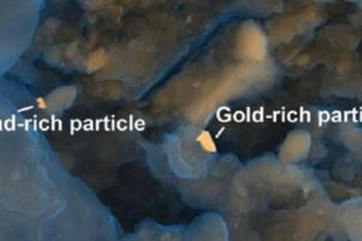 Tidak hanya emas, logam langka seperti palladium dan vanadium terdapat pada tinja manusia.