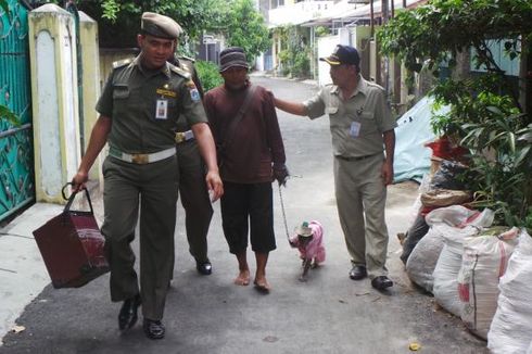 Dinyatakan Sehat, 67 Monyet Hasil Razia Dilepas ke Kepulauan Seribu