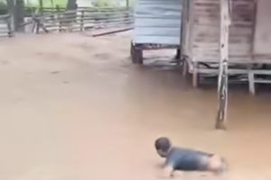 Cuaca Ekstrem, Desa Kertasari di Sumbawa Barat NTB Terdampak Banjir Bandang