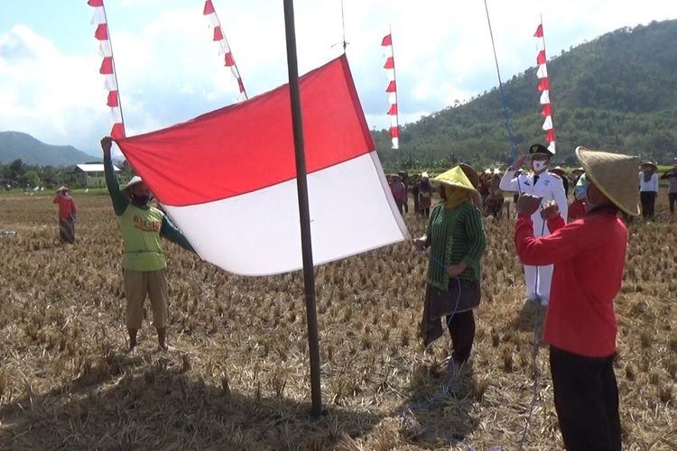 Petani yang bertugas sebagai pngibar bendera merah putih, dalam upacara peringatan hari kemerdekaan RI ke-75 di kawasan persawahan Desa Sambirejo Trenggalek Jawa Timur, Senin (17/08/2020).