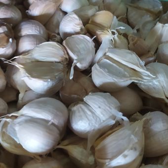 Harga bawang putih di Kota Semarang, Jawa Tengah naik