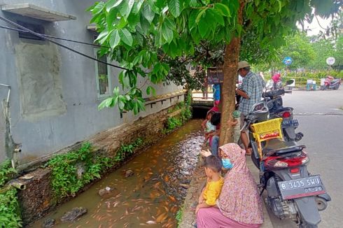 Selokan Ikan di Pamulang Tangsel, Warga: Semenjak Covid-19 Saya Setiap Hari Ke Sini