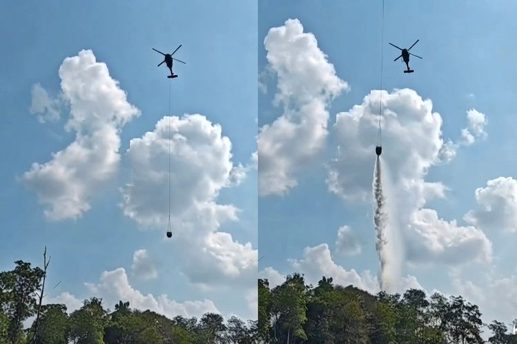 Titik Api Baru di Way Kambas Padam Setelah Disiram Water Bombing