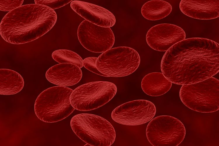 Sel darah merah yang meningkat secara abnormal dalam tubuh disebut sebagai polisitemia.