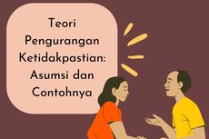 Teori Pengurangan Ketidakpastian: Asumsi dan Contohnya