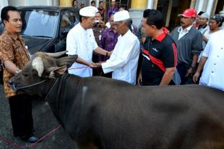 Gubernur Bali Made Mangku Pastika 