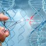 7 Penyakit yang Bisa Disembuhkan CRISPR, Gunting DNA Pemenang Nobel