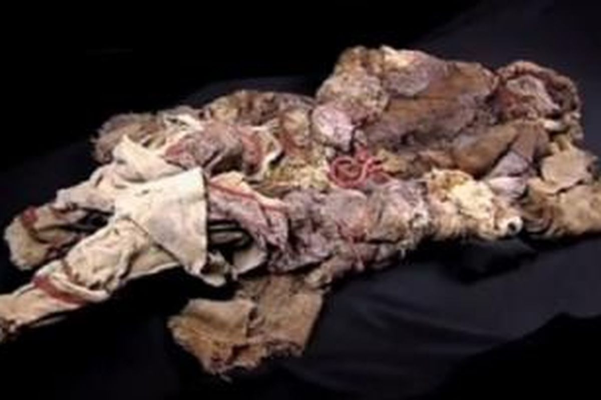 Keju tertua di dunia ditemukan di dada sebuah mumi. 