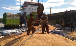 Kabupaten Tojo Una-una Ekspor 14.000 Ton Jagung ke Filipina
