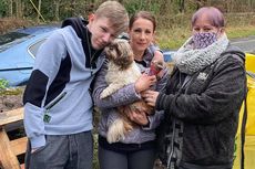 Seekor Anjing Kembali ke Majikannya Setelah Hilang 8 Tahun