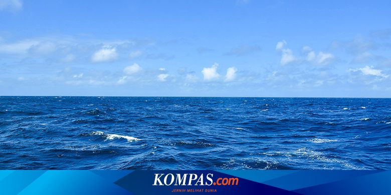 Tanggal 15 Januari 2024 Memperingati Hari Apa?