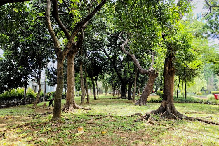 Taman Cattleya, kawasan wisata terbuka hijau di Jakarta Barat, Selasa (14/10/2025). 