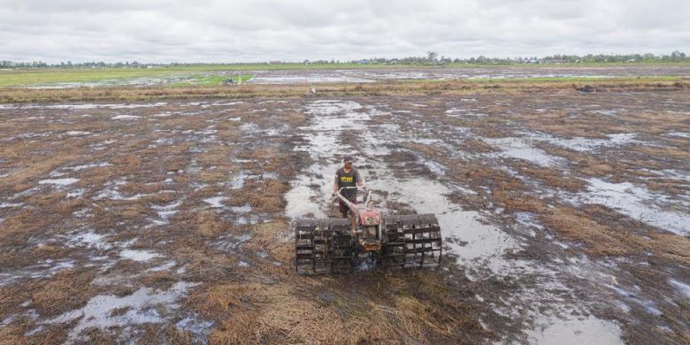 Ilustrasi petani sedang membajak sawah.