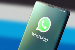 Cara Mengetahui Chat WhatsApp Sudah Dibaca tapi Tidak Centang Biru, Mudah