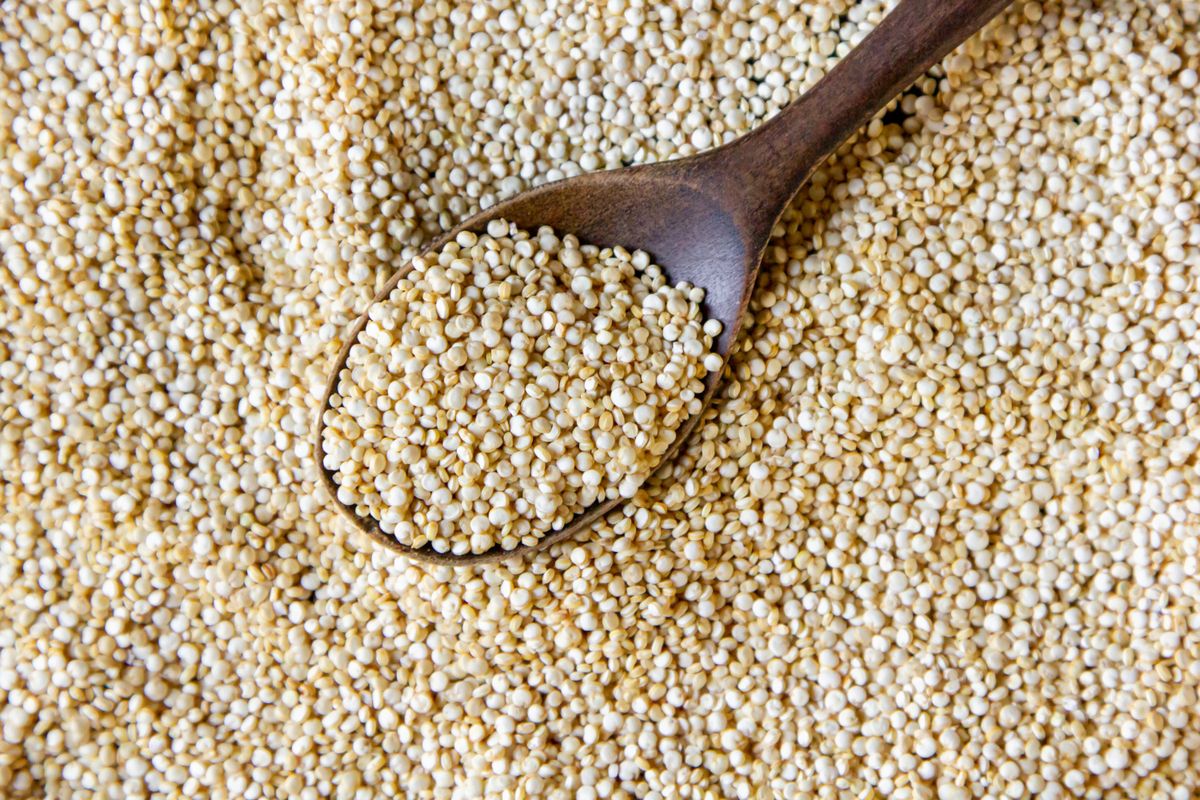 Quinoa adalah salah satu makanan yang mengandung karbohidrat tinggi dan memiliki rasa yang mirip dengan jenis biji-bijian lainnya.