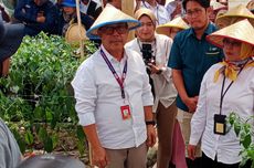 Tingkatkan Kesejahteraan Petani, Pemerintah RI Dorong Program Kerjasama Kemitraan Closed Loop Agribisnis Hortikultura 