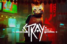 Setahun Dirilis di PlayStation, Game Petualangan Kucing "Stray" Kini Hadir di Xbox