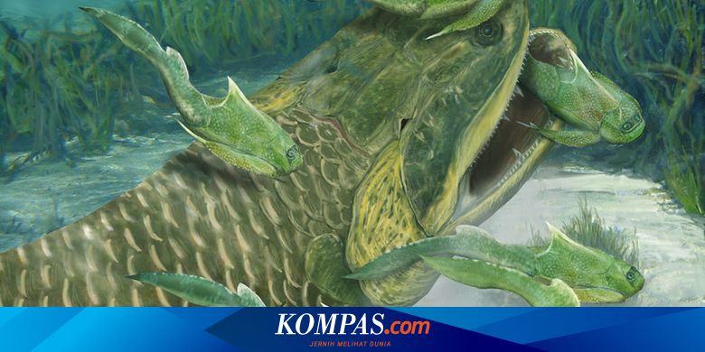 Fosil Ikan Aneh Tulis Ulang Sejarah Evolusi Hewan Berkaki Empat