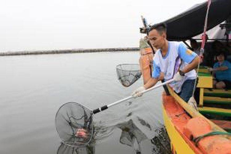 Peserta Bersih-Bersih Pantai sedang mengambil sampah di Laut Jakarta dalam rangka merayakan World Ocean Day di Ancol, Senin (8/6/2015).