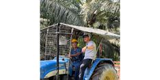 Menteri Karding Kunjungi Kebun Sawit di Malaysia, Berbincang dengan PMI dan Coba Panen Kelapa Sawit