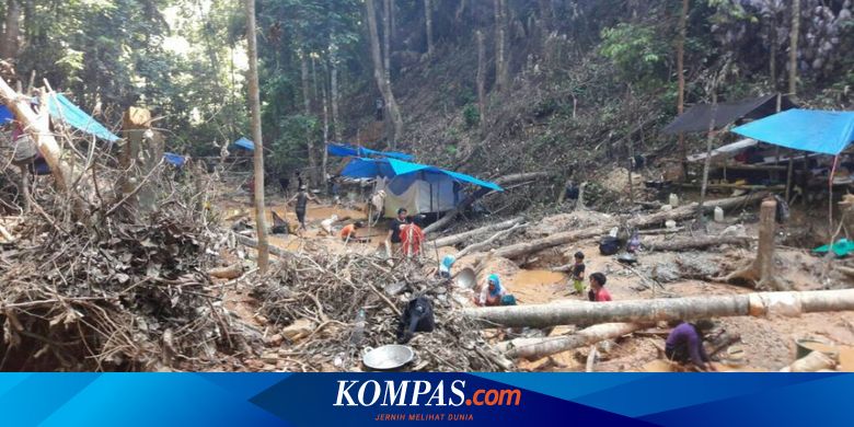 Warga Bisa Dapat 30 Gram Emas, Lokasi Penemuan Emas di Kolaka Diserbu