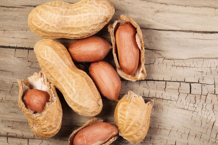 Ilustrasi kacang tanah. Kacang tanah mengandung beberapa nutrisi yang memberikan sejumlah manfaat kesehatan yang sama dengan kacang-kacangan yang harganya lebih mahal.