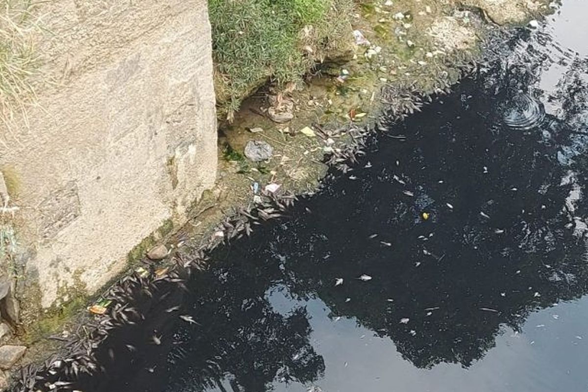 Kondisi Sungai Cileungsi, Kabupaten Bogor, Jawa Barat, Senin (11/9/2023) dengan air berwarna hitam menandakan pencemaran.
