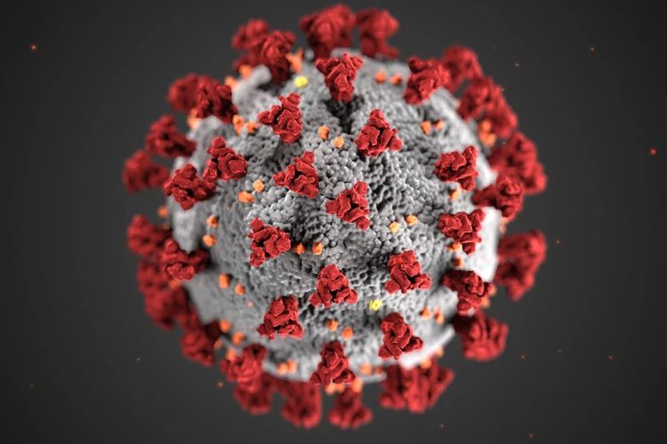 Alissa Eckert dan Dan Higgins, ilustrator dari Centers for Disease Control and Prevention, diminta untuk membuat ilustrasi virus corona yang mampu menarik perhatian publik.