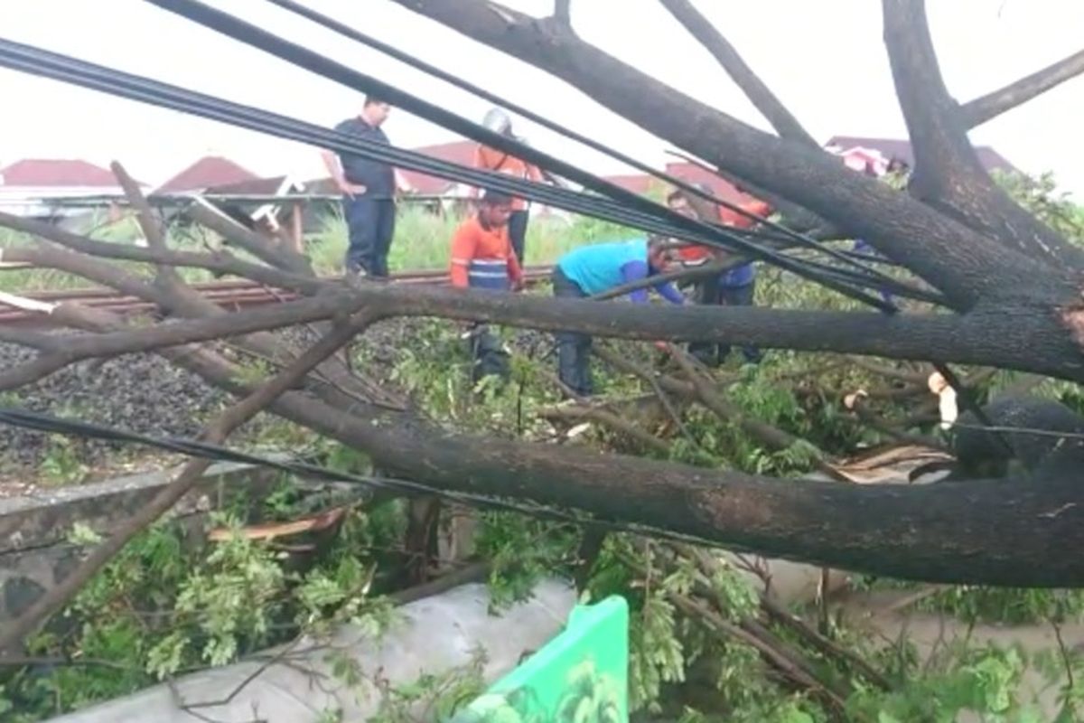 Proses evakuasi bagian pohon tumbang yang sempat menutup perlintasan rel kereta api di Desa Pangkatrejo, Kecamatan/Kabupaten Lamongan, Kamis (9/6/2022). *** Local Caption *** Proses evakuasi bagian pohon tumbang yang sempat menutup perlintasan rel kereta api di Desa Pangkatrejo, Kecamatan/Kabupaten Lamongan, Kamis (9/6/2022).