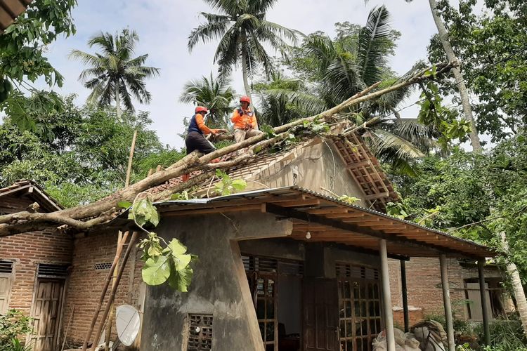Hujan disertai angin kencang di Kabupaten Kebumen, Jawa Tengah mengakibatkan tanah longsor dan pohon tumbang.   Akibatnya, belasan rumah warga rusak terkena longsor dan pohon tumbang. Tercatat longsor dan angin kencang yang merusak rumah warga tersebut tersebar di 14 desa di Kebumen pada Rabu (31/1/2024). 