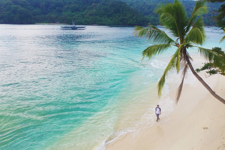 Pantai Teluk Kiluan Lampung 