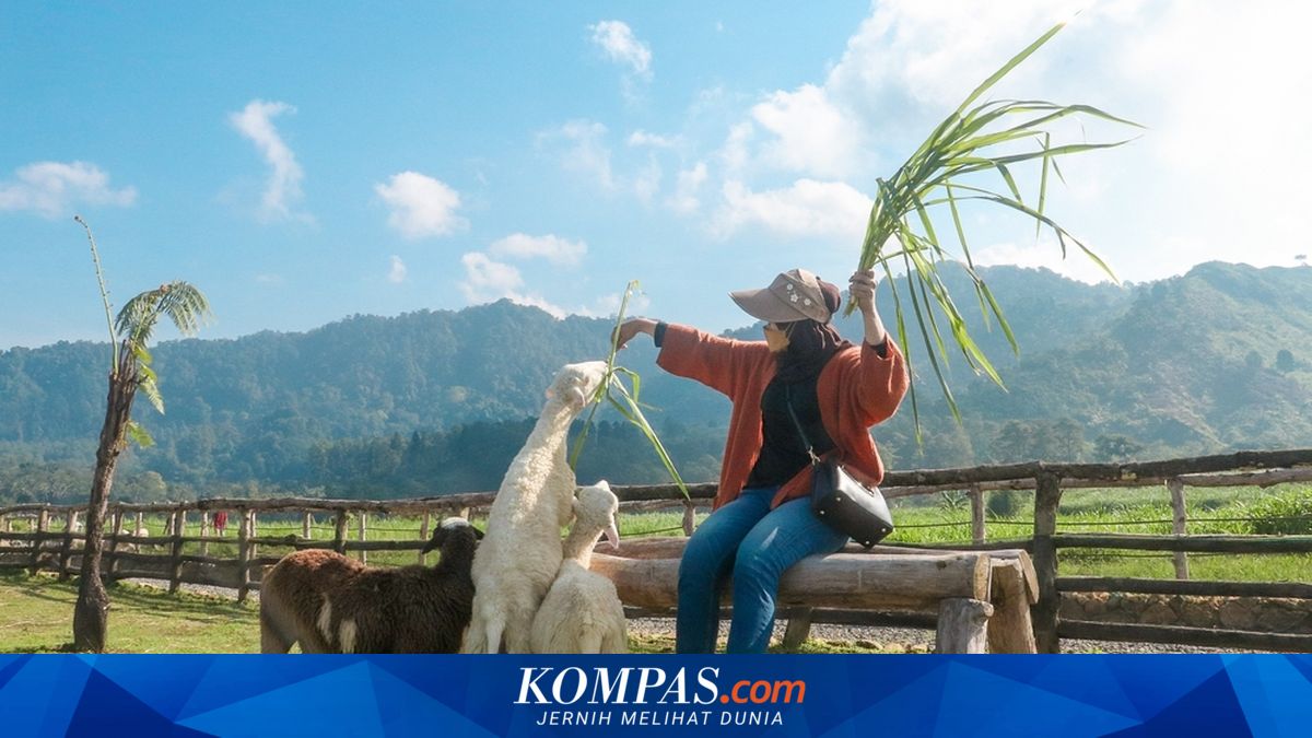 Menggala Ranch Banyumas: Harga Tiket, Jam Buka, dan Daya Tarik