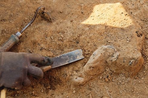 Arkeolog Temukan Liontin Penis Berusia 42.000 Tahun, Penggambaran Alat Kelamin Manusia Paling Awal di Dunia