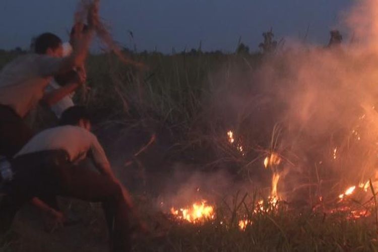 Personel dari Polres Ogan Ilir dan Polsek Indralaya berusaha memadamkan api dengan menggunakan kayu dan ranting pohon