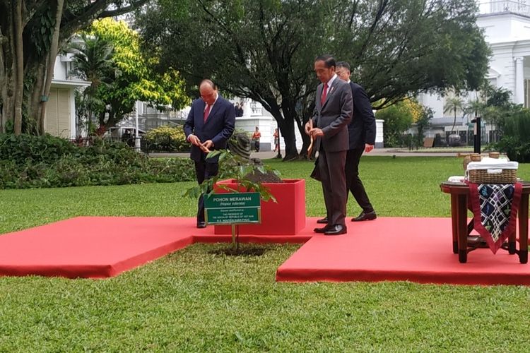 Presiden Joko Widodo dan Presiden Vietnam Nguyen Xuan Phuc menanam Pohon Merawan di Istana Kepresidenan Bogor, Jawa Barat, pada Jumat (22/12/2022).