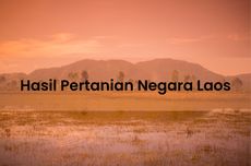 Hasil Pertanian Negara Laos