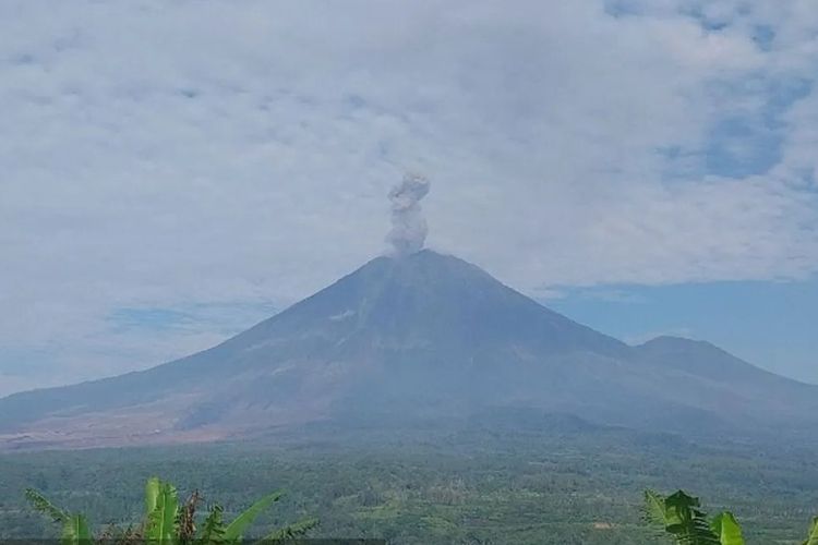 Ilustrasi Gunung Semeru erupsi.