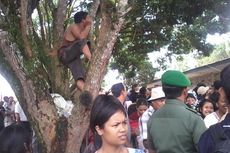 Seorang Pria di Karo Panjat Pohon demi Melihat Jokowi