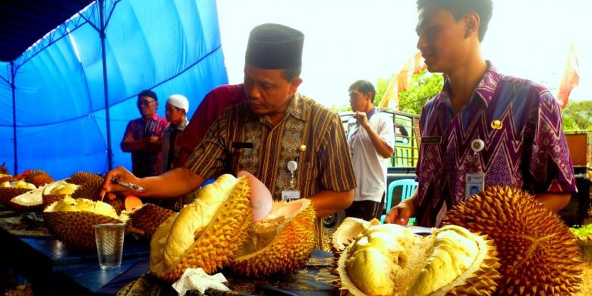 Unduh 6500 Gambar Durian Kendil Paling Baru 